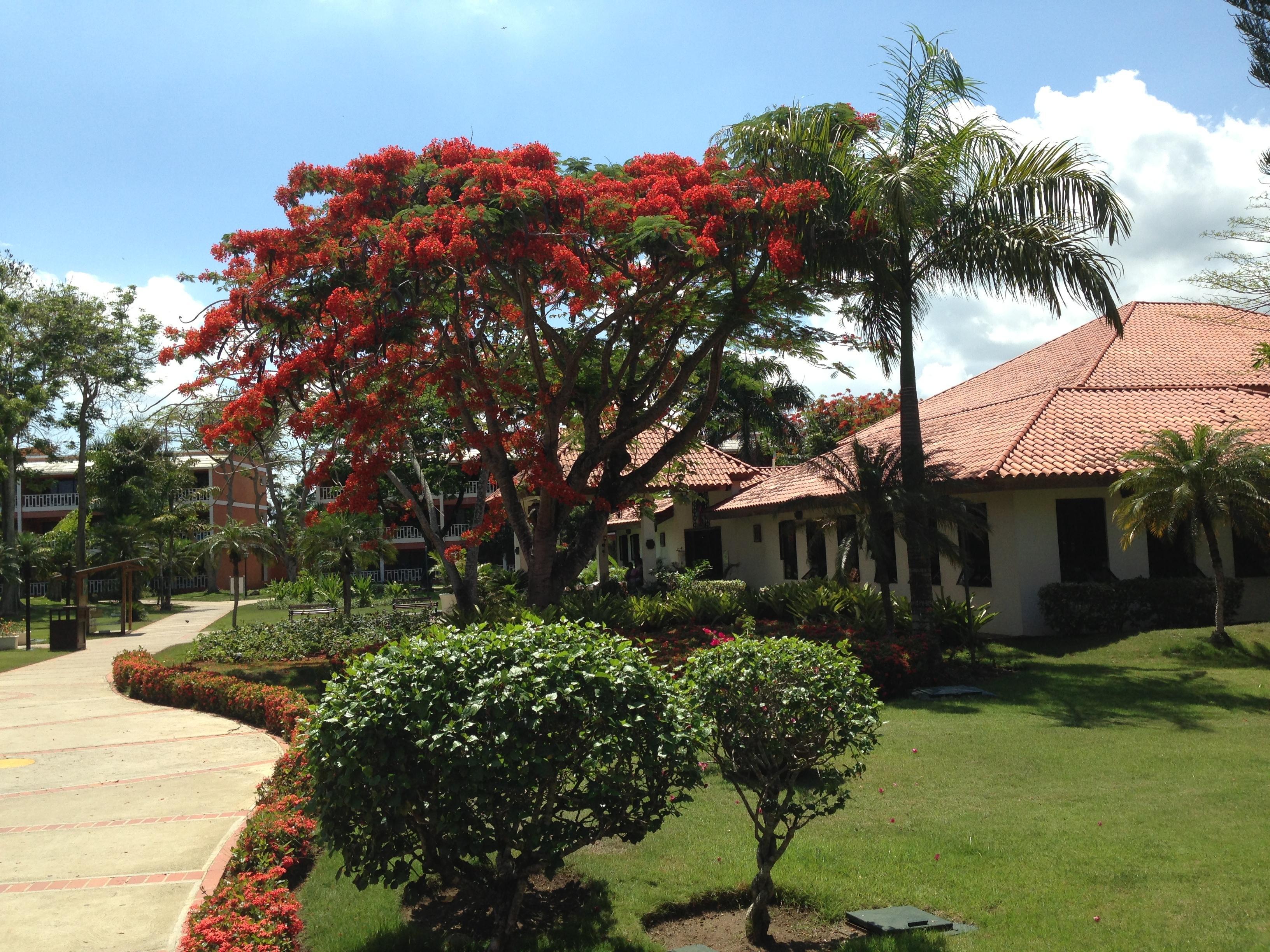 Bellevue Dominican Bay Boca Chica Exterior photo